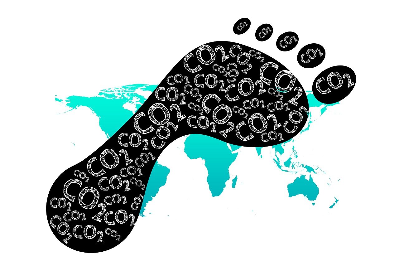5 Everyday Habits that Add to Your Carbon Footprint