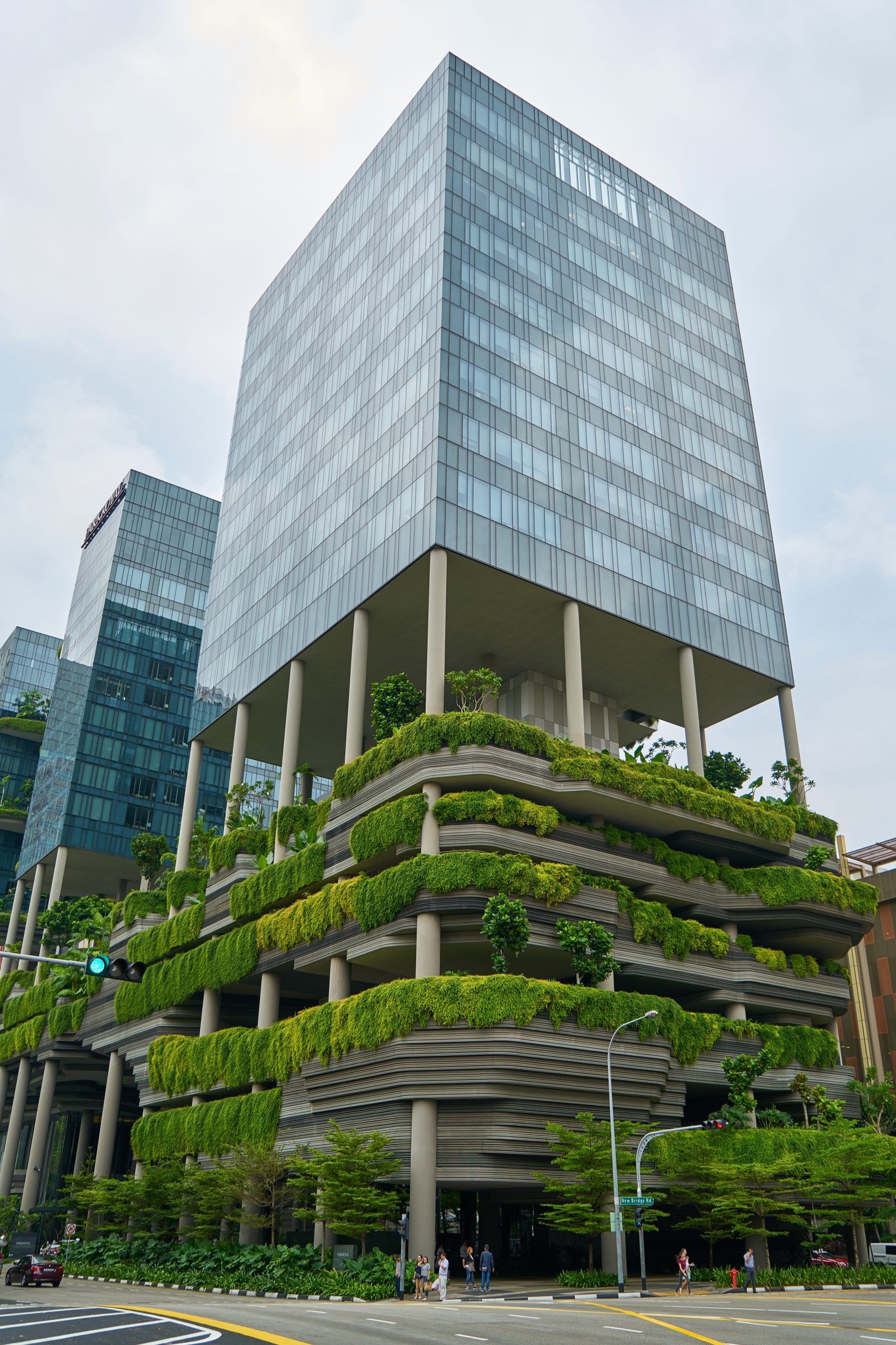 A green building A glass panel building with rows of green gardens on the ground flour, surrounding the building’s perimeter portraying some of the 7 spectacular green buildings in Africa